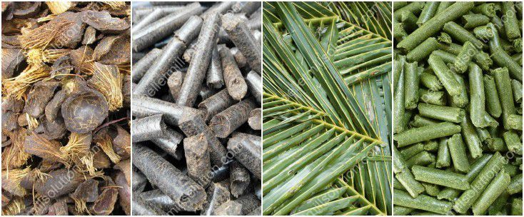 biomass pellets made from palm wastes